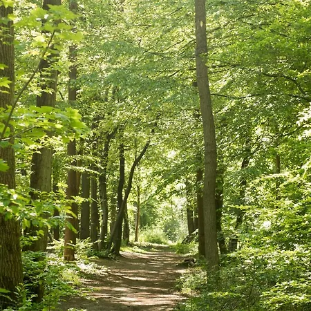 Privee Ds Maison Saint-Amand-les-Eaux